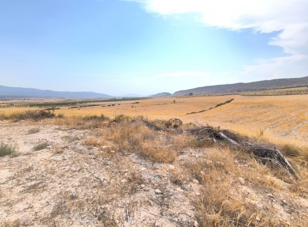 Country Property - Revente - Jumilla - Jumilla Centro