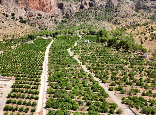 Country Property - Revente - Orihuela - Orihuela