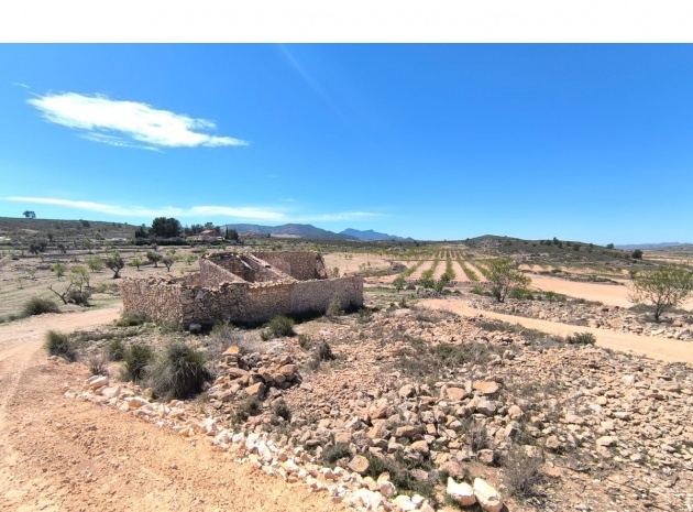 Country Property - Revente - Pinoso - Pinoso Centro