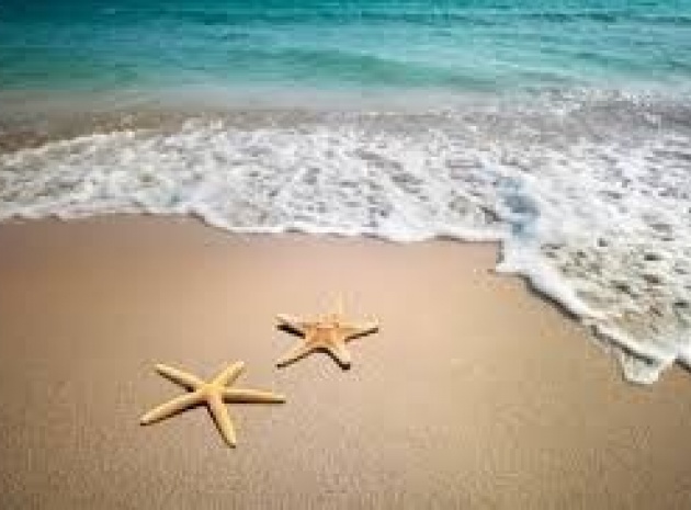 Hotel - Wiederverkauf - Murcia - ESMA-29275