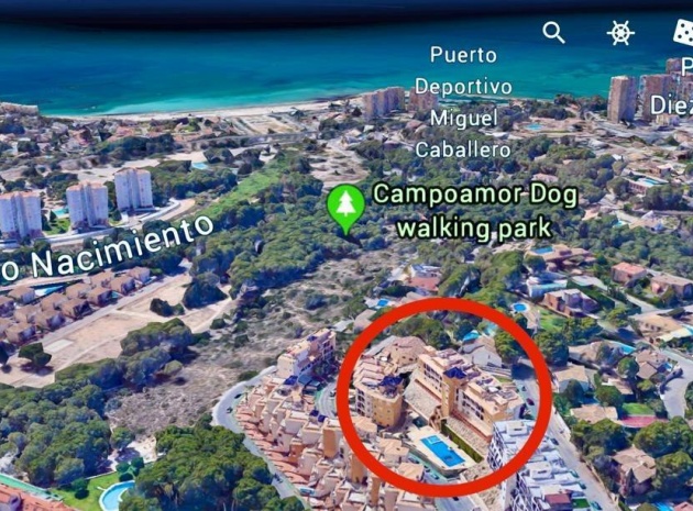 Kommerziell - Wiederverkauf - Orihuela - Campoamor