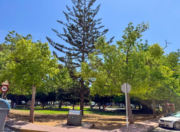 Lägenhet - Återförsäljning - Torrevieja - Torrevieja Centro