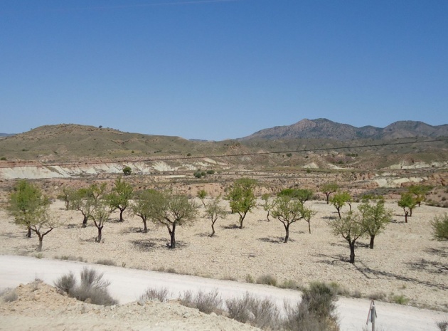 Land - Resale - Abanilla - Abanilla Centro