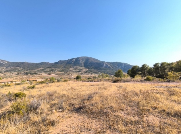 Land - Resale - Algueña - Algueña