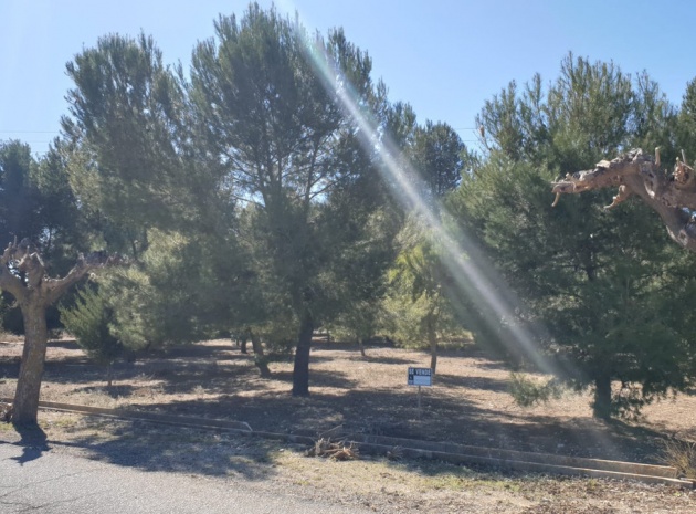 Land - Resale - Beneixama - Benejama - Beneixama - Benejama Centro