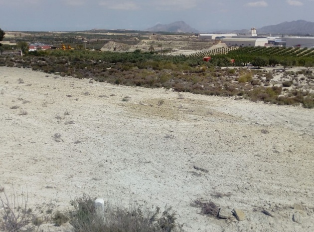 Land - Resale - Fortuna - Fortuna Centro