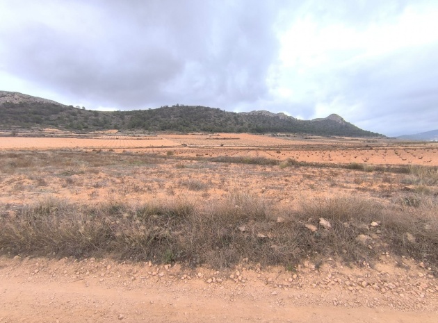 Land - Resale - Jalon - La Solana