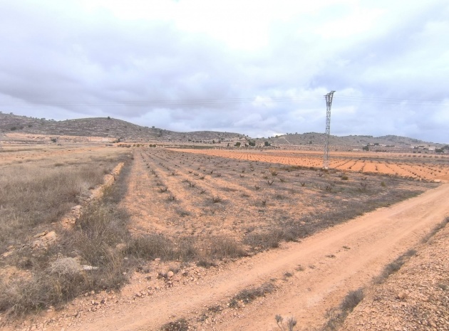 Land - Resale - Jalon - La Solana
