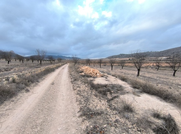 Land - Resale - Jalon - La Solana