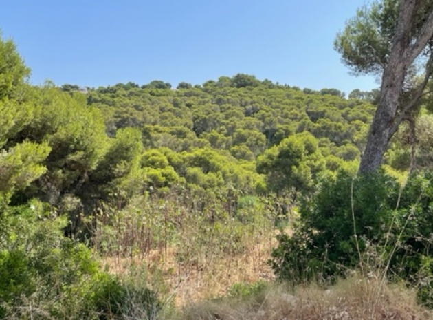 Land - Resale - Jávea - Xàbia - Jávea - Xàbia Centro