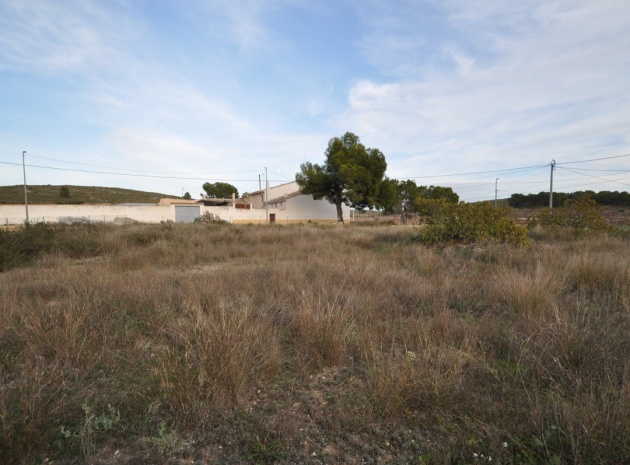 Land - Resale - Jumilla - Cañada del Trigo