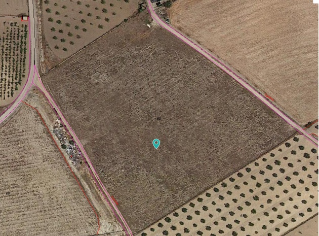 Land - Resale - Jumilla - Cañada del Trigo