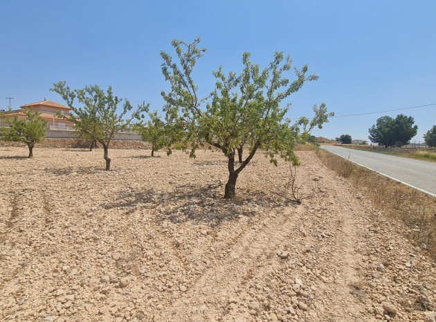 Land - Resale - Jumilla - Jumilla Centro