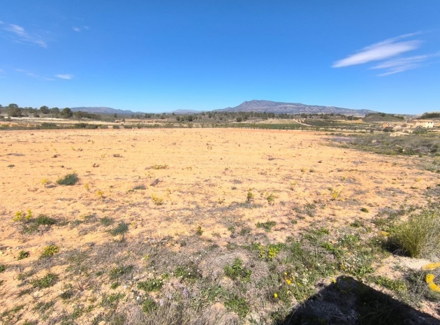 Land - Resale - Jumilla - La Zarza