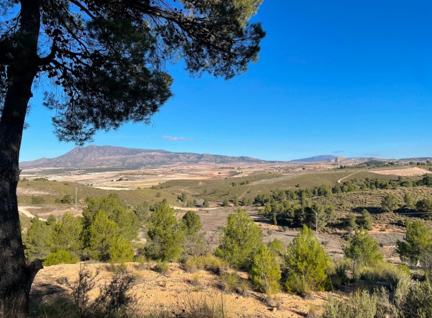 Land - Resale - Jumilla - La Zarza