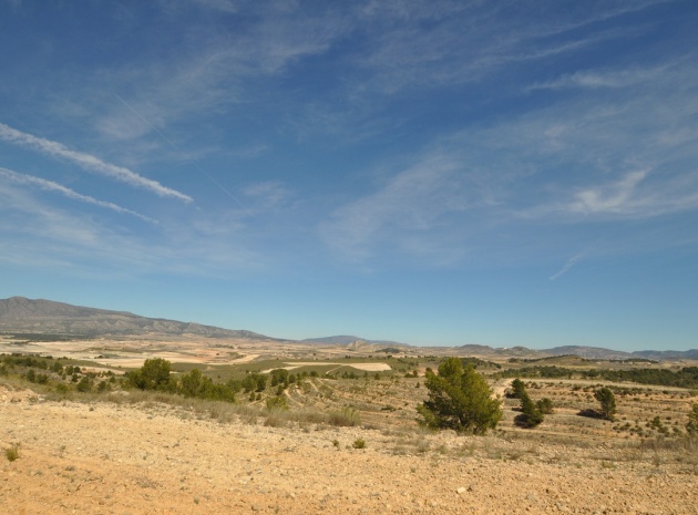 Land - Resale - Jumilla - La Zarza