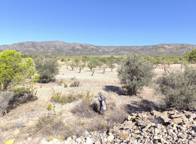 Land - Resale - Monóvar - Monòver - Monóvar - Monòver Centro