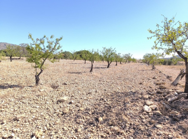 Land - Resale - Monóvar - Monòver - Monóvar - Monòver Centro