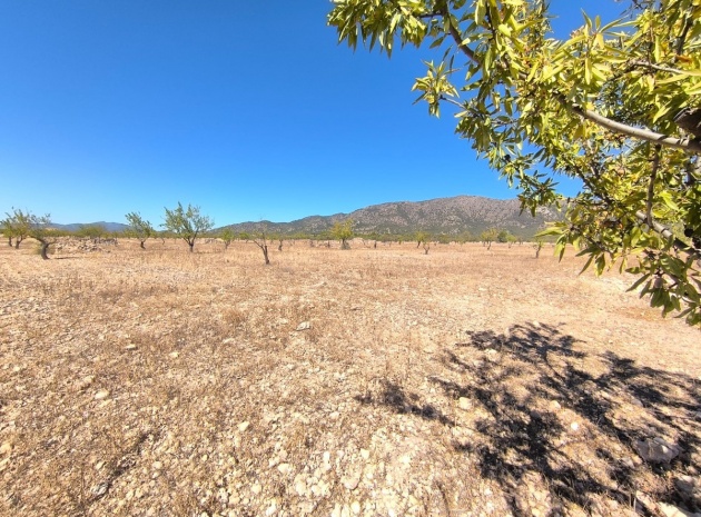 Land - Resale - Monóvar - Monòver - Monóvar - Monòver Centro
