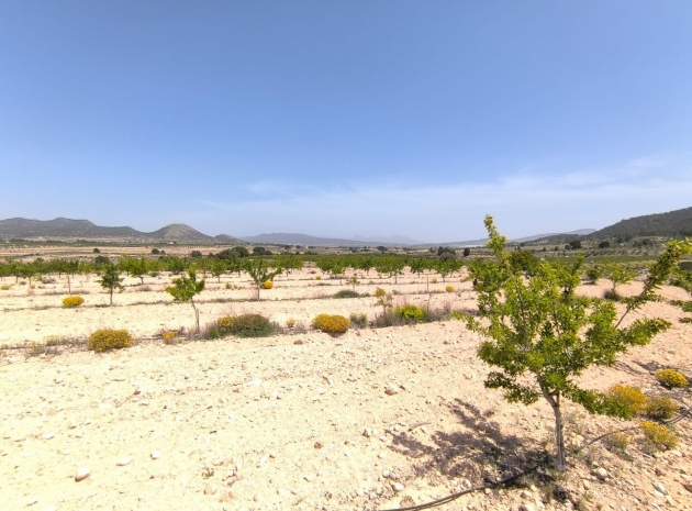 Land - Resale - Monóvar - Monòver - Monóvar - Monòver Centro