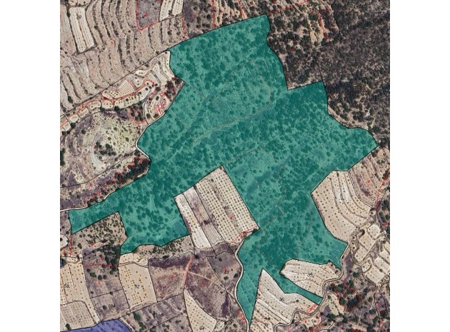 Land - Resale - Monóvar - Monòver - Monóvar - Monòver Centro