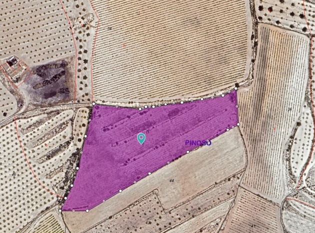 Land - Resale - Pinoso - Pinoso Centro