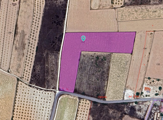 Land - Resale - Pinoso - Pinoso Centro