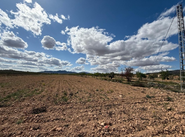 Land - Resale - Pinoso - Pinoso Centro