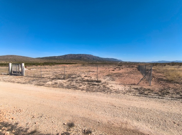 Land - Resale - Pinoso - Pinoso Centro