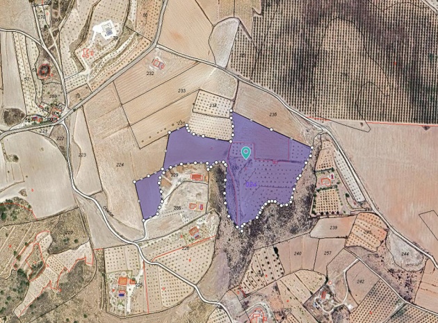 Land - Resale - Pinoso - Pinoso Centro