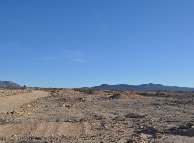 Land - Resale - Pinoso - Pinoso Centro