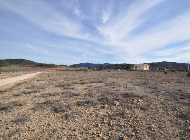 Land - Resale - Pinoso - Pinoso Centro