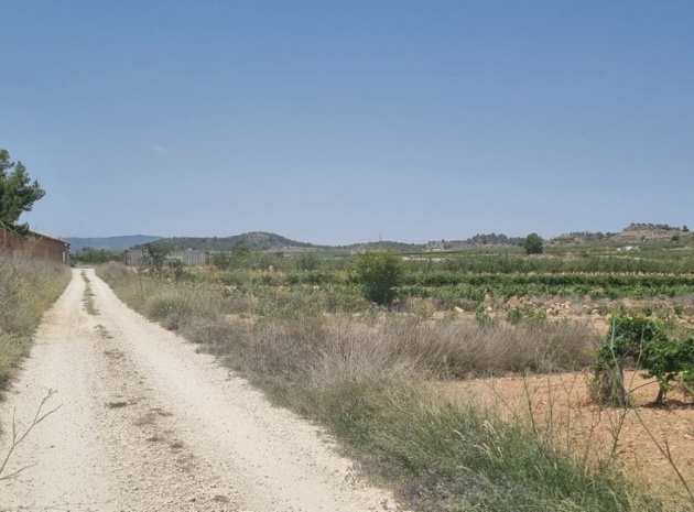 Land - Resale - Pinoso - Pinoso Centro