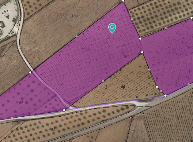 Land - Resale - Pinoso - Pinoso Centro