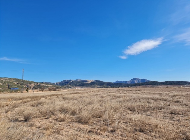 Land - Resale - Pinoso - Pinoso Centro