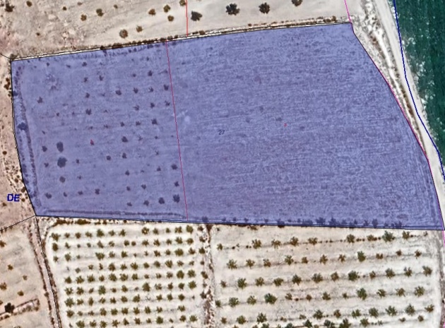 Land - Resale - Pinoso - Pinoso Centro