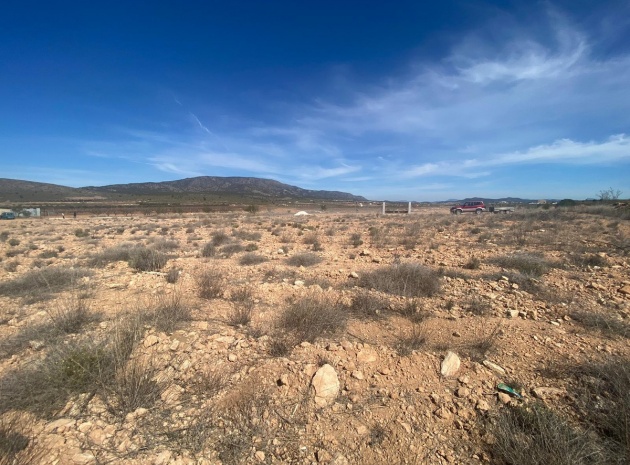 Land - Resale - Pinoso - Pinoso Centro