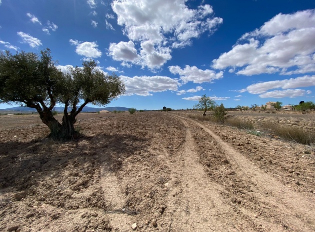 Land - Resale - Pinoso - Pinoso Centro