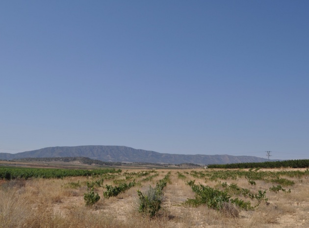 Land - Resale - Pinoso - Pinoso Centro