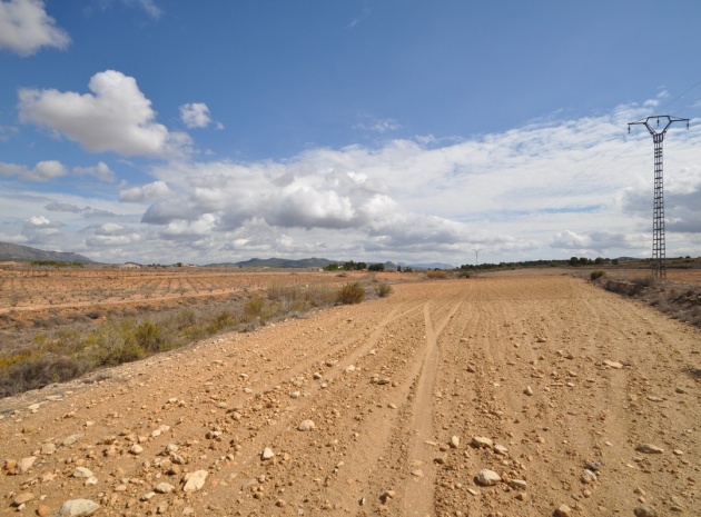 Land - Resale - Pinoso - Pinoso Centro