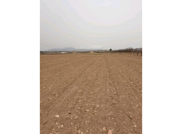 Land - Resale - Pinoso - Pinoso Centro