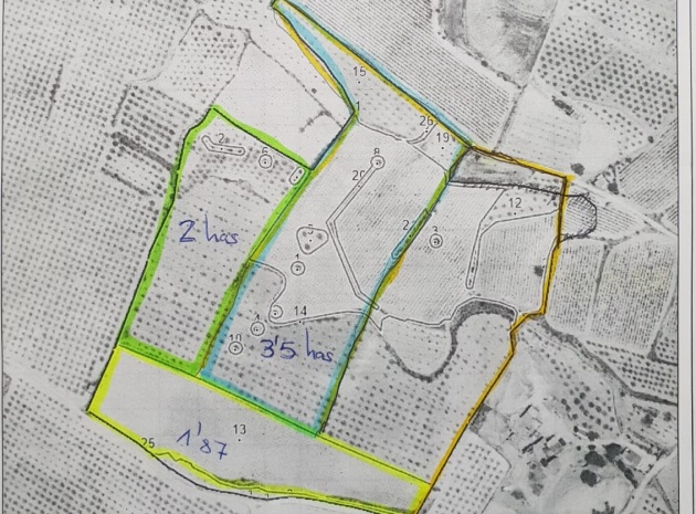 Land - Resale - Pinoso - Pinoso Centro