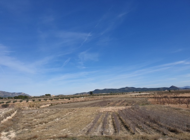 Land - Resale - Pinoso - Pinoso Centro