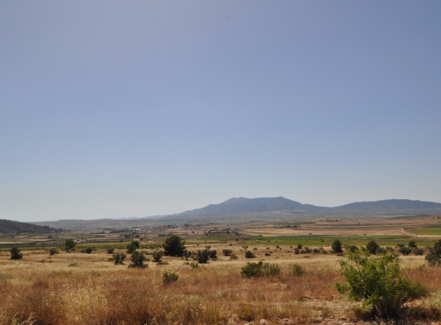 Land - Resale - Pinoso - Pinoso Centro