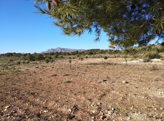 Land - Resale - Relleu - Relleu Centro