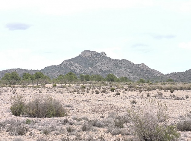 Land - Resale - Salinas - Salinas Centro