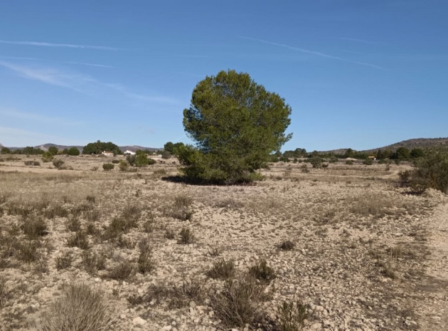 Land - Resale - Salinas - Salinas Centro