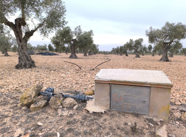 Land - Resale - Yecla - Yecla Centro