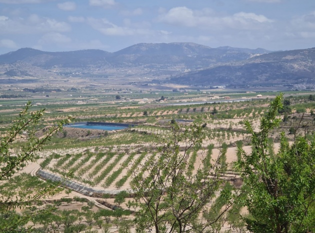 Land - Resale - Yecla - Yecla Centro