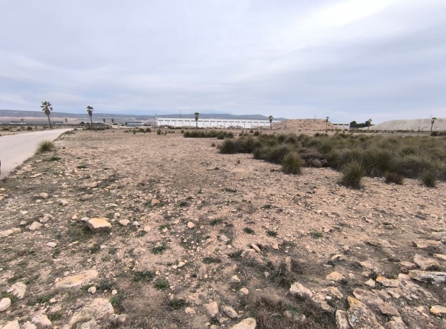 Land - Resale - Yecla - Yecla Centro